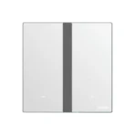 2 Gang Zigbee Smart Switch Module Pre-order