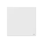 Blank Plate Pre-order