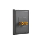Double Audio Speaker Socket Module - Image 4